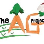 AG Project Santa Hat quarter sized